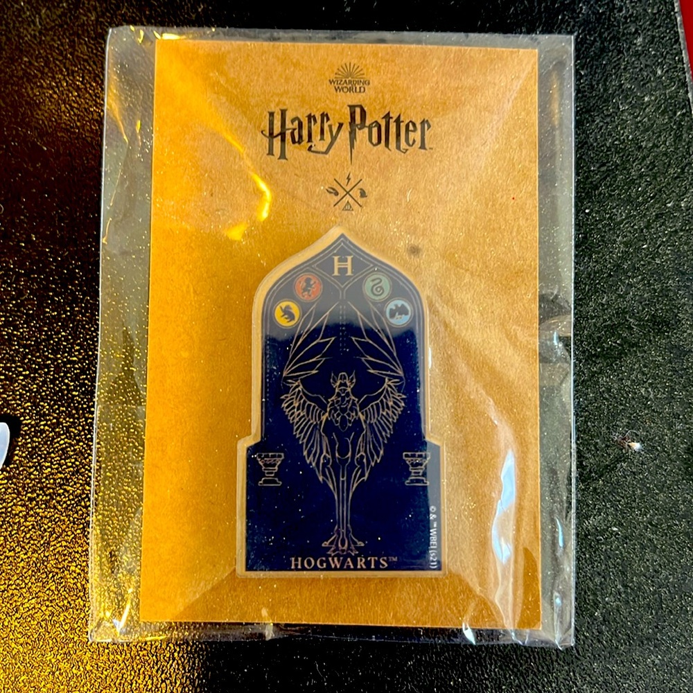 Harry Potter pin